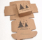 Boîte en carton d'emballage de tasse de thé ondulée de peinture faite sur commande facile d'emballage