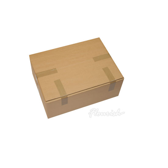 Chine fabricant personnalisé ondulé papier ail poivre emballage carton boîte