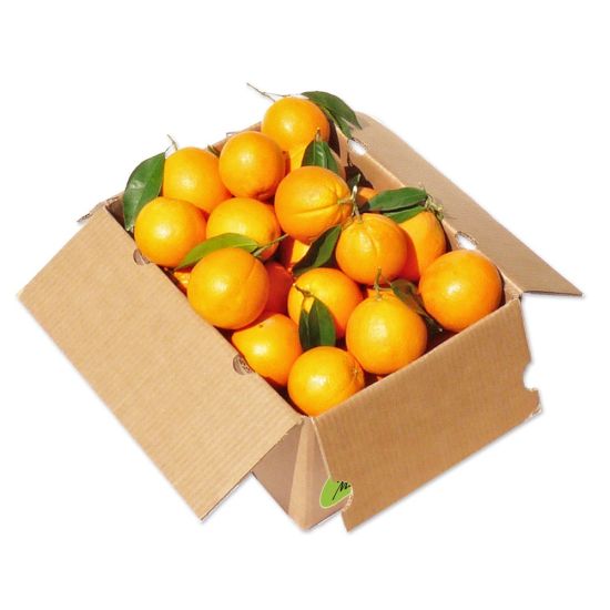 Boîte de carton d'emballage d'emballage de légumes et de fruits en carton ondulé blanc