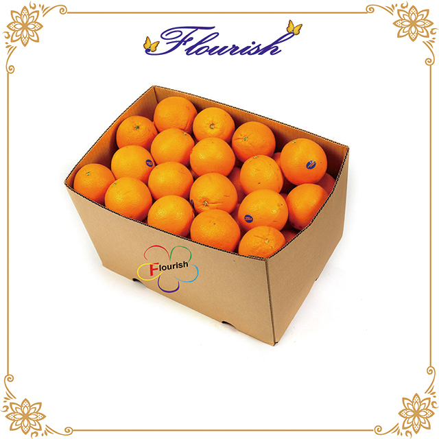 Boîte de papier d'emballage de légumes d'oranges en papier ondulé